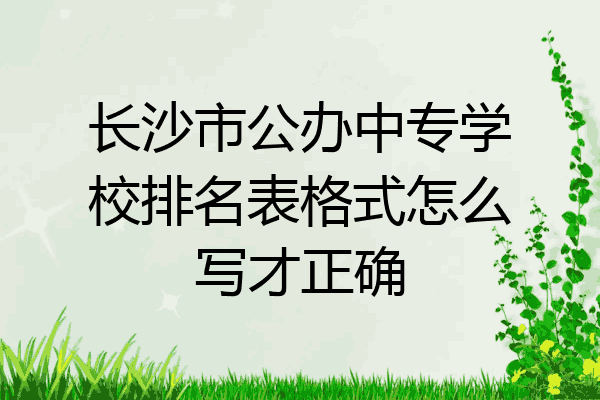 长沙市公办中专学校排名表格式怎么写才正确