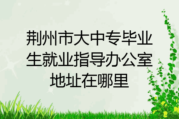荆州市大中专毕业生就业指导办公室地址在哪里