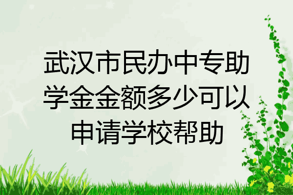 武汉市民办中专助学金金额多少可以申请学校帮助