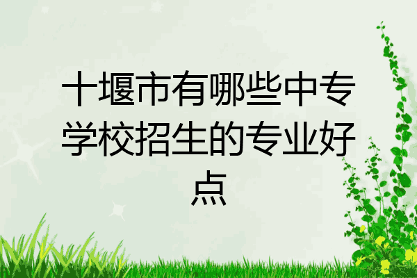 十堰市有哪些中专学校招生的专业好点