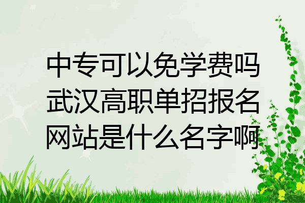 中专可以免学费吗武汉高职单招报名网站是什么名字啊