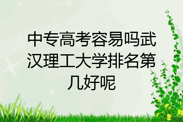 中专高考容易吗武汉理工大学排名第几好呢