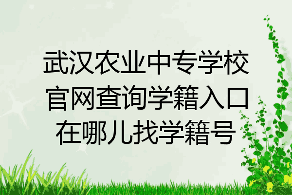 武汉农业中专学校官网查询学籍入口在哪儿找学籍号