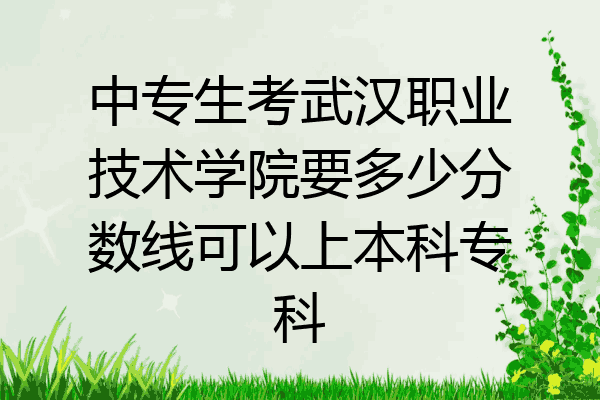 中专生考武汉职业技术学院要多少分数线可以上本科专科