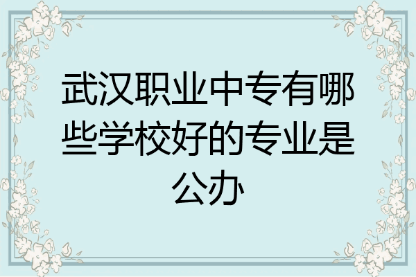 武汉职业中专有哪些学校好的专业是公办