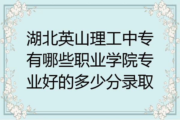 湖北英山理工中专有哪些职业学院专业好的多少分录取