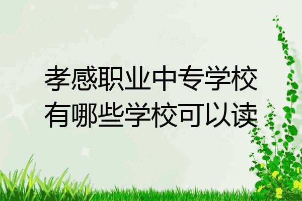 孝感职业中专学校有哪些学校可以读