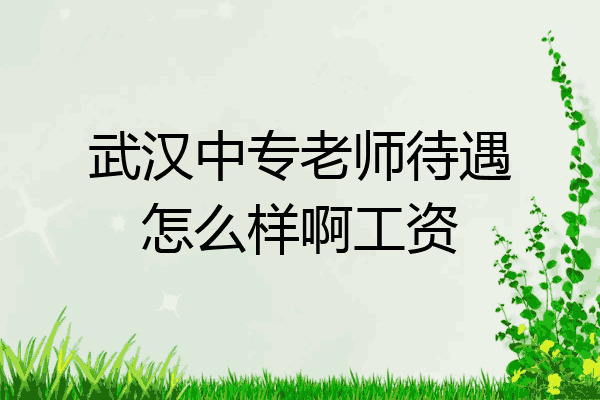 武汉中专老师待遇怎么样啊工资