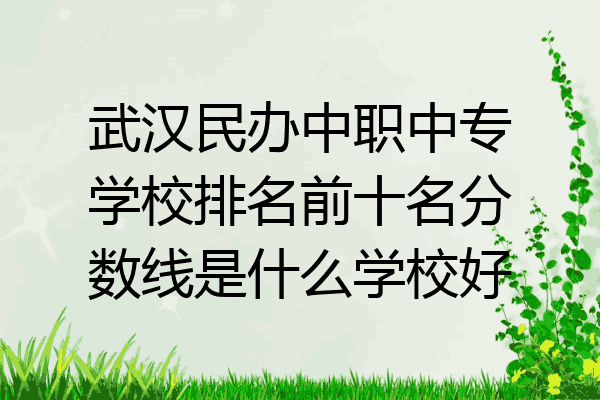 武汉民办中职中专学校排名前十名分数线是什么学校好