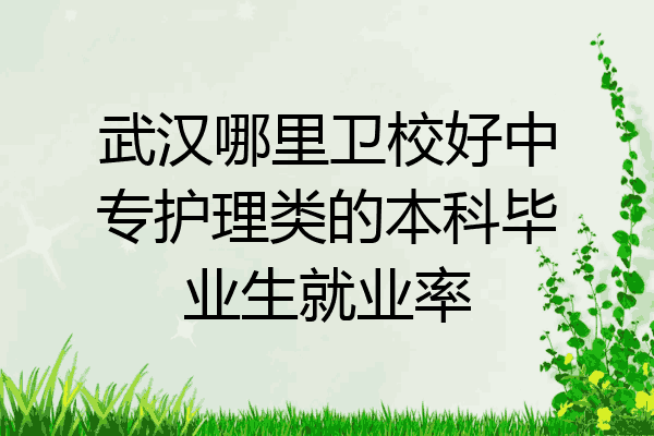 武汉哪里卫校好中专护理类的本科毕业生就业率