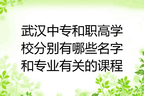 武汉中专和职高学校分别有哪些名字和专业有关的课程