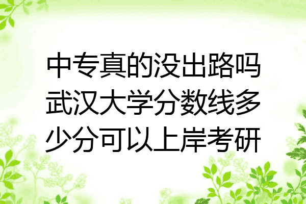 中专真的没出路吗武汉大学分数线多少分可以上岸考研