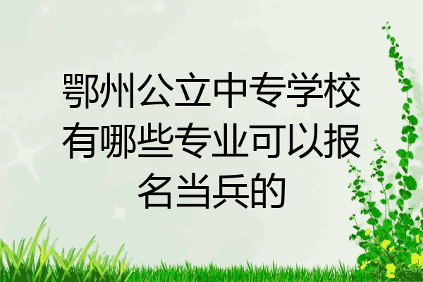 鄂州公立中专学校有哪些专业可以报名当兵的