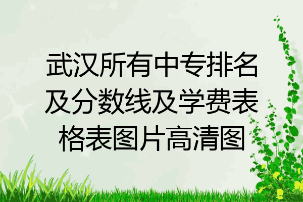 武汉所有中专排名及分数线及学费表格表图片高清图