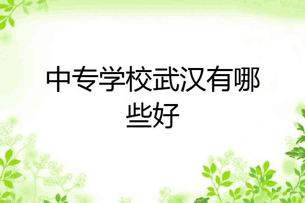 中专学校武汉有哪些好