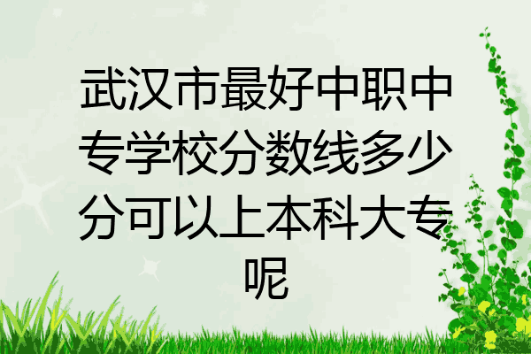 武汉市最好中职中专学校分数线多少分可以上本科大专呢