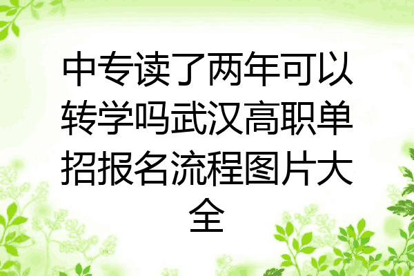 中专读了两年可以转学吗武汉高职单招报名流程图片大全