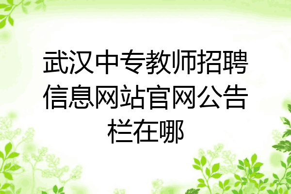 武汉中专教师招聘信息网站官网公告栏在哪