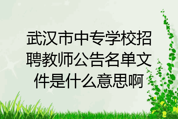 武汉市中专学校招聘教师公告名单文件是什么意思啊