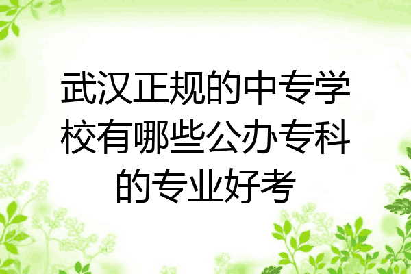 武汉正规的中专学校有哪些公办专科的专业好考
