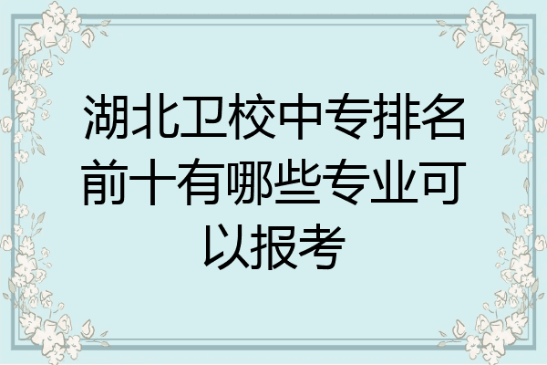 湖北卫校中专排名前十有哪些专业可以报考
