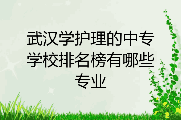 武汉学护理的中专学校排名榜有哪些专业