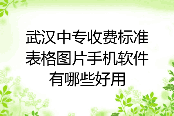 武汉中专收费标准表格图片手机软件有哪些好用
