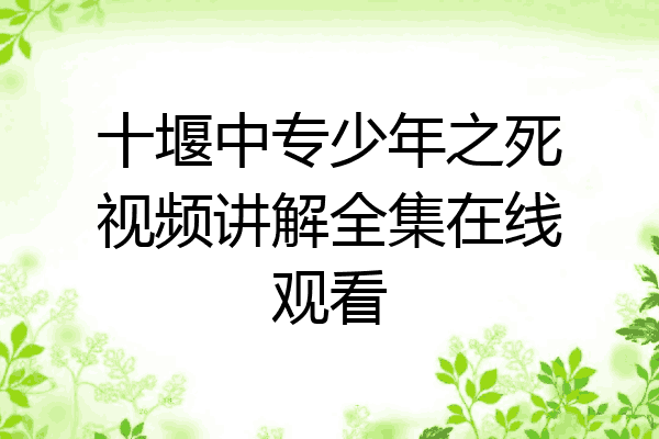 十堰中专少年之死视频讲解全集在线观看