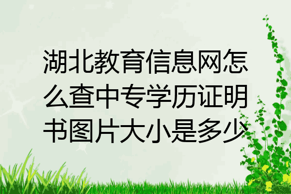 湖北教育信息网怎么查中专学历证明书图片大小是多少