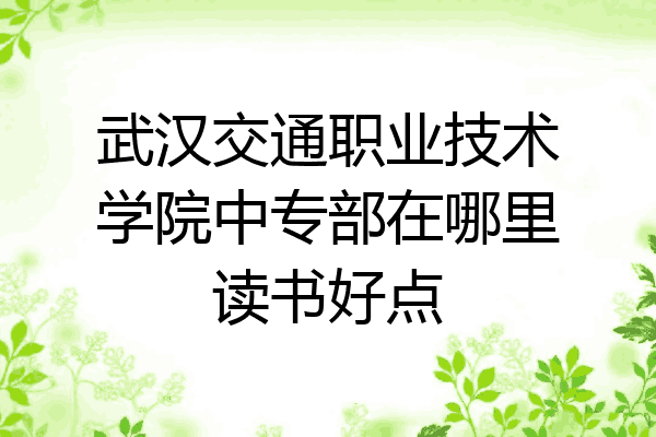武汉交通职业技术学院中专部在哪里读书好点