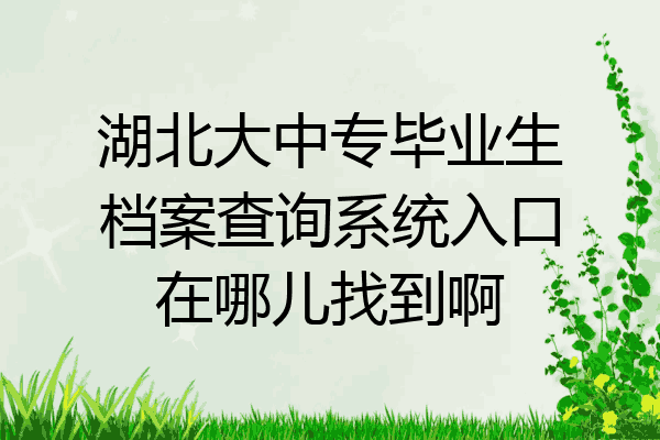 湖北大中专毕业生档案查询系统入口在哪儿找到啊
