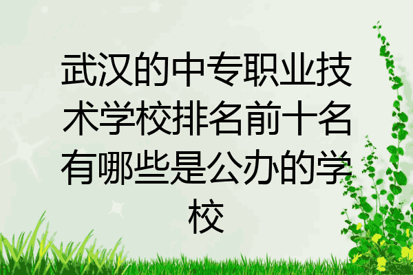 武汉的中专职业技术学校排名前十名有哪些是公办的学校