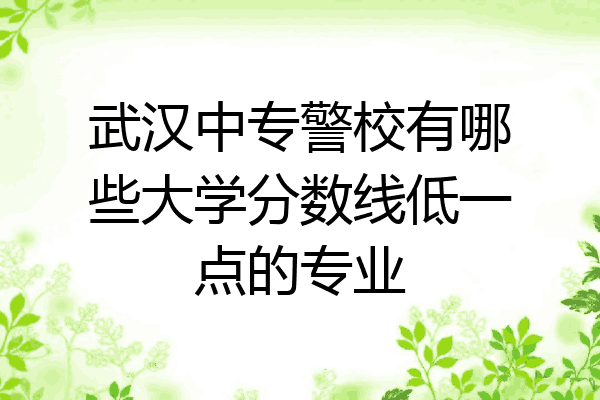 武汉中专警校有哪些大学分数线低一点的专业