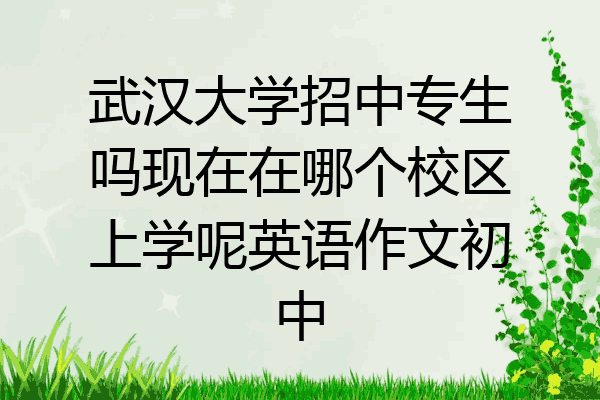 武汉大学招中专生吗现在在哪个校区上学呢英语作文初中