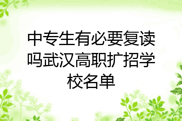 中专生有必要复读吗武汉高职扩招学校名单