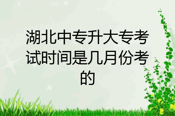 湖北中专升大专考试时间是几月份考的