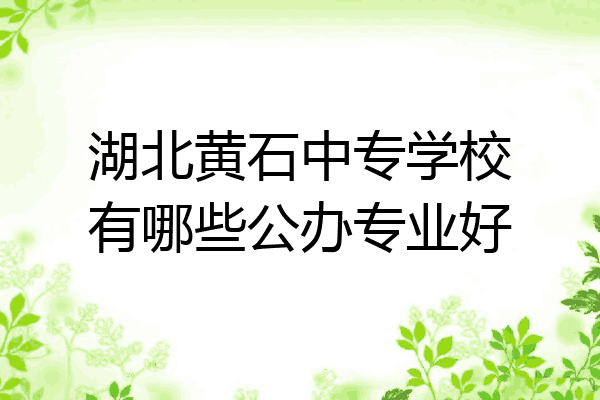 湖北黄石中专学校有哪些公办专业好