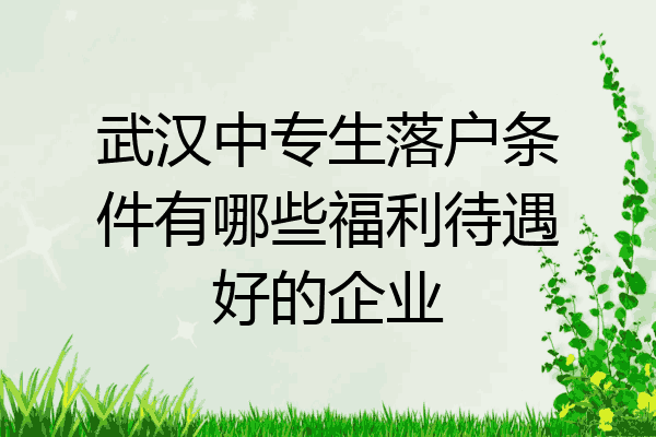 武汉中专生落户条件有哪些福利待遇好的企业