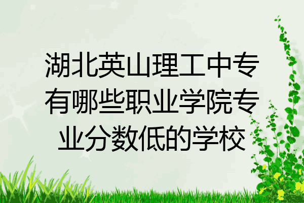 湖北英山理工中专有哪些职业学院专业分数低的学校