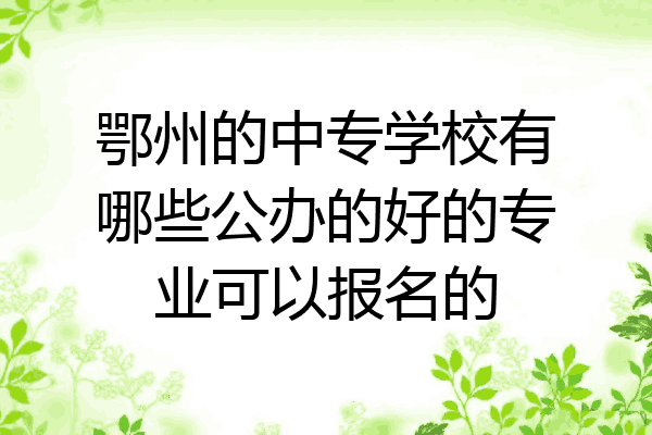 鄂州的中专学校有哪些公办的好的专业可以报名的