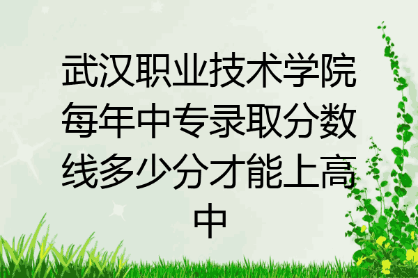 武汉职业技术学院每年中专录取分数线多少分才能上高中