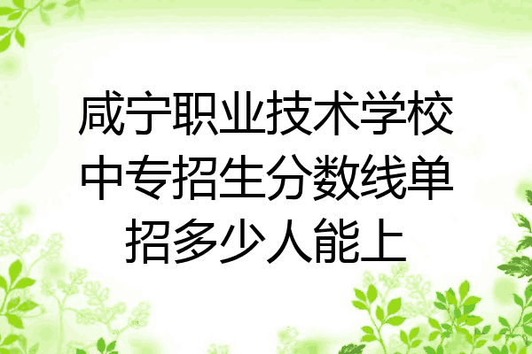 咸宁职业技术学校中专招生分数线单招多少人能上