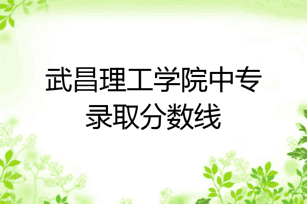 武昌理工学院中专录取分数线