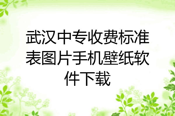 武汉中专收费标准表图片手机壁纸软件下载