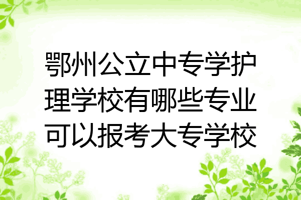 鄂州公立中专学护理学校有哪些专业可以报考大专学校