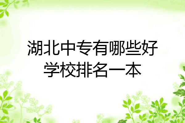 湖北中专有哪些好学校排名一本