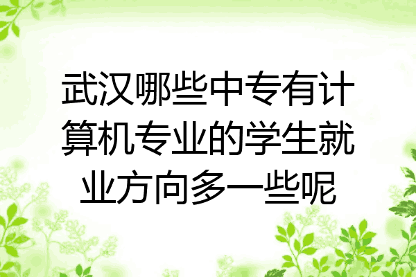 武汉哪些中专有计算机专业的学生就业方向多一些呢