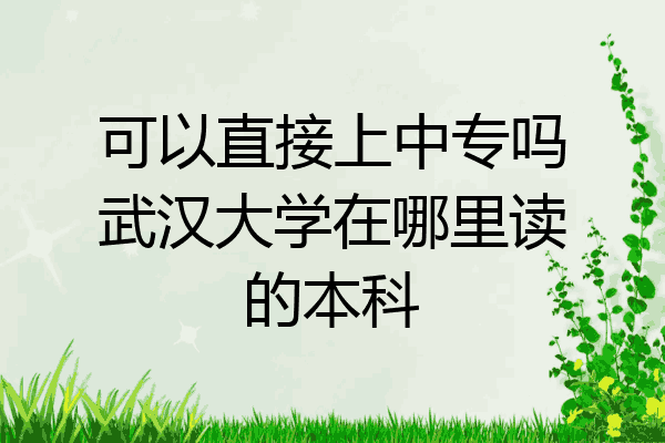 可以直接上中专吗武汉大学在哪里读的本科
