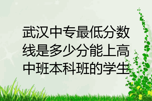 武汉中专最低分数线是多少分能上高中班本科班的学生