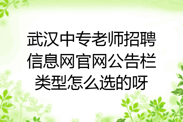 武汉中专老师招聘信息网官网公告栏类型怎么选的呀